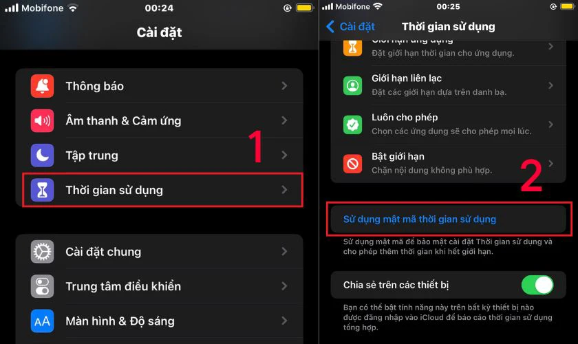 Cách đặt mật khẩu ứng dụng trên iPhone bằng Giới hạn vùng Guided Access