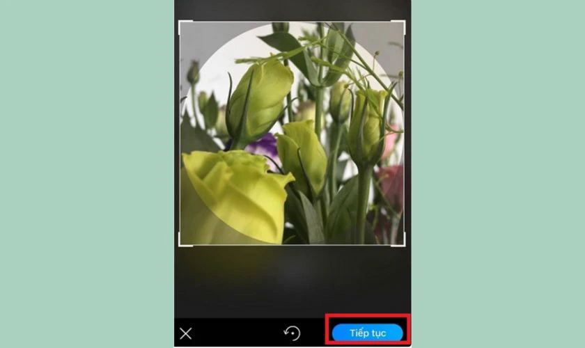 Cách đổi ảnh đại diện nhóm trên Zalo hiệu quả