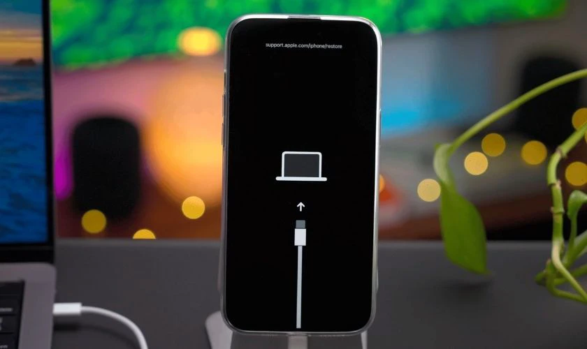 Kết nối iPhone với máy tính và đưa máy vào chế độ Recovery Mode