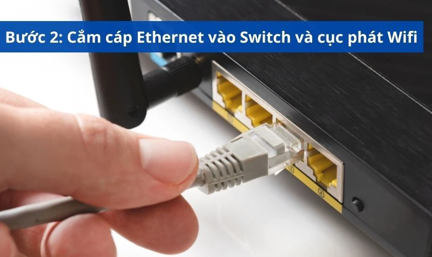 Cắm cáp Ethernet vào Switch, đầu còn lại cắm vào cục phát wifi