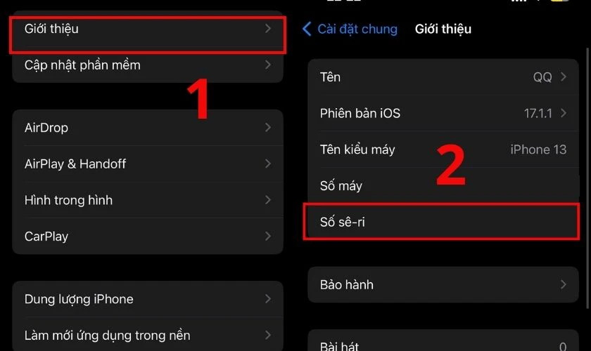 Dùng công cụ kiểm tra số Serial của màn hình