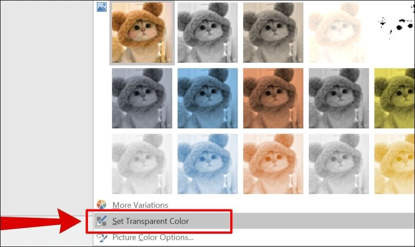 Set Transparent Color