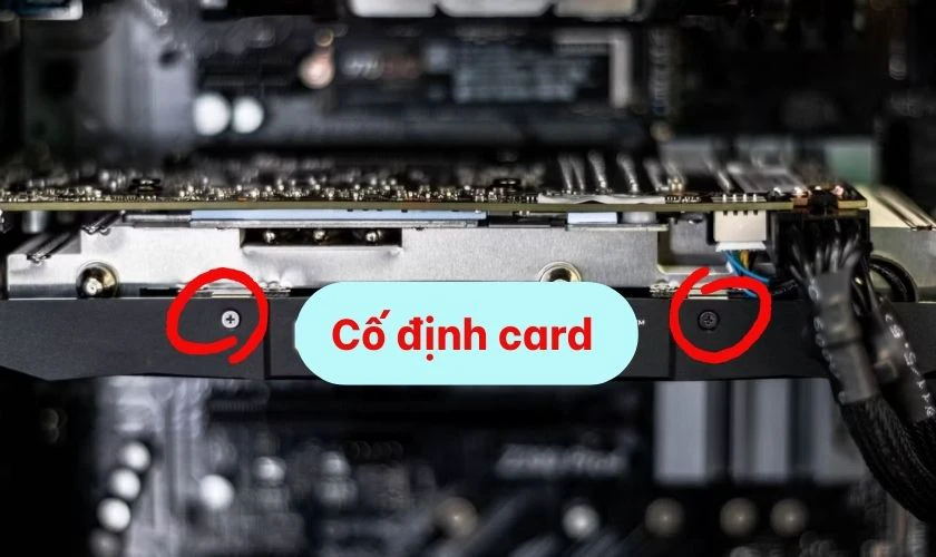 Cố định card đồ họa