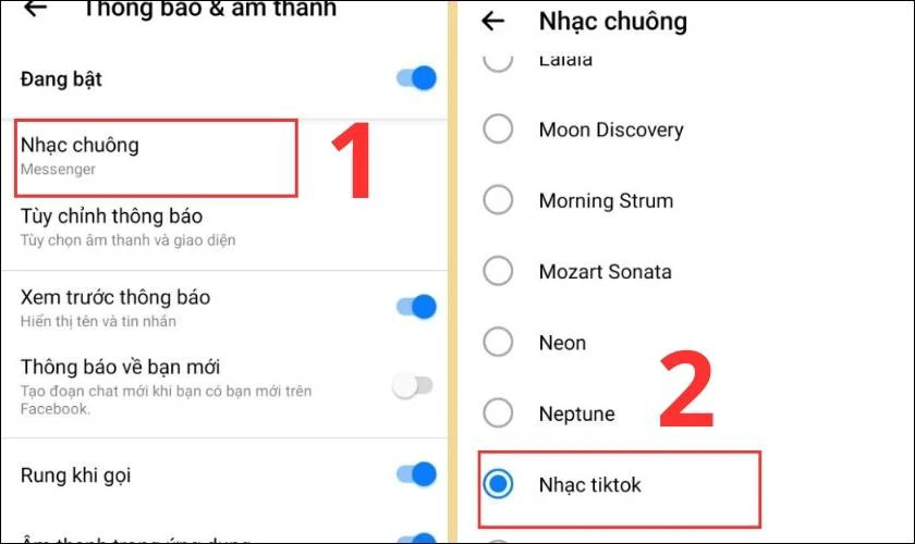 Chọn mục Nhạc chuông và lựa chọn đoạn nhạc