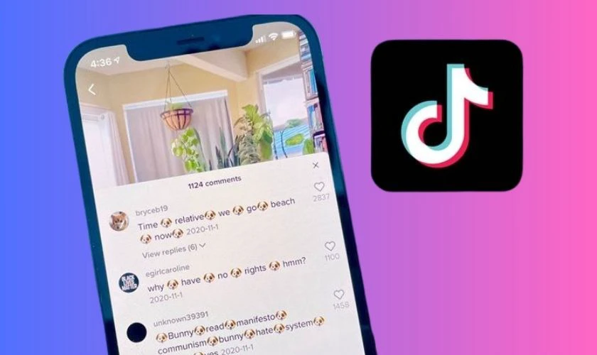 Bình luận thu hút trên video người nổi tiếng