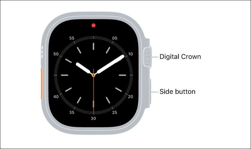 Nhấn và giữ đồng thời nút sườn và nút Digital Crown để khởi động