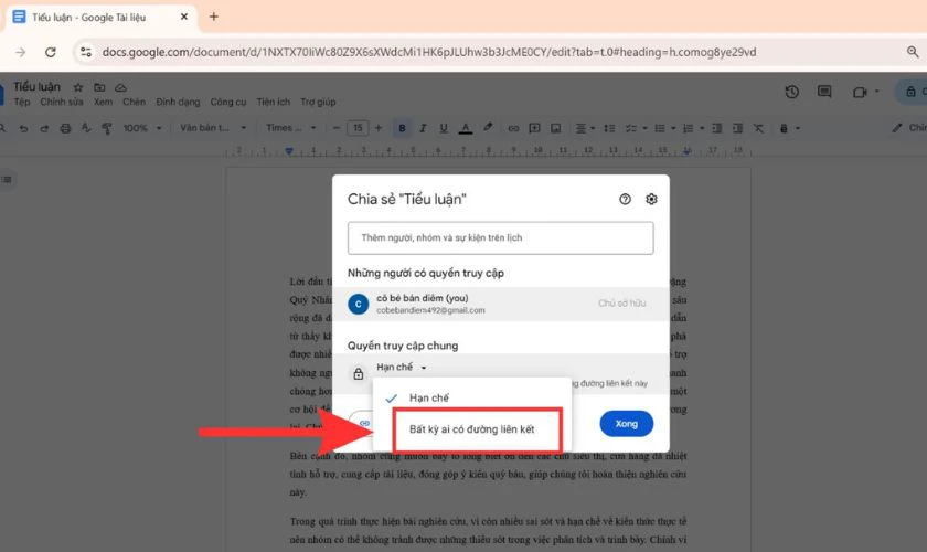 Nhập email người bạn muốn cấp quyền chỉnh sửa