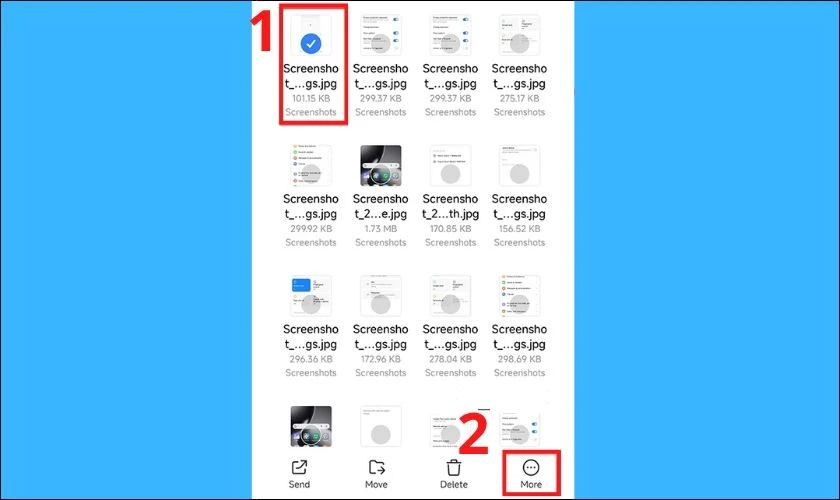 Nhấn giữ để chọn tệp và nhấn Thêm (More)