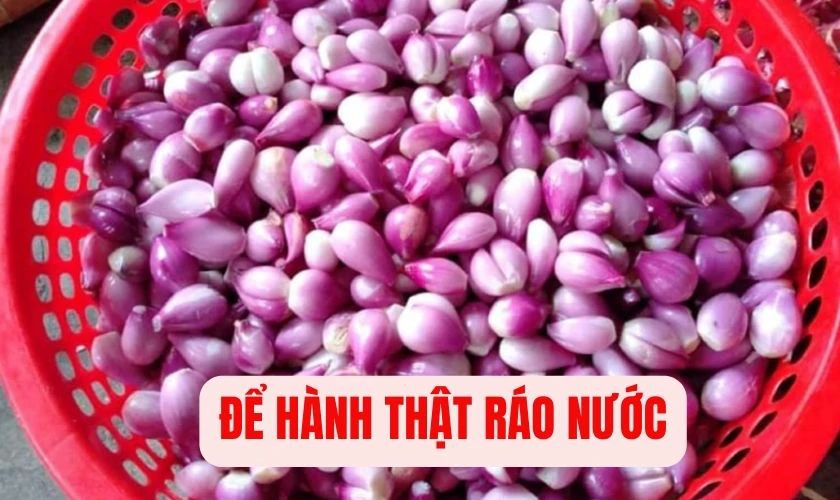 Phơi hành thật khô ráo