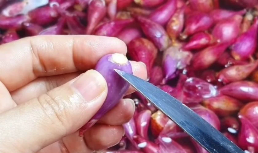 Sơ chế hành tím