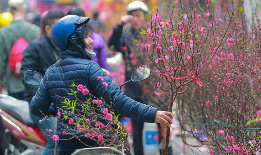 Cách nhận 400k dịp tết 2026 Bính Ngọ