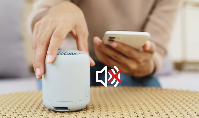 Khi nào cần reset loa Bluetooth