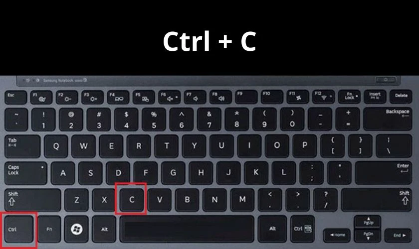 Nhấn đồng thời hai phím Ctrl và C