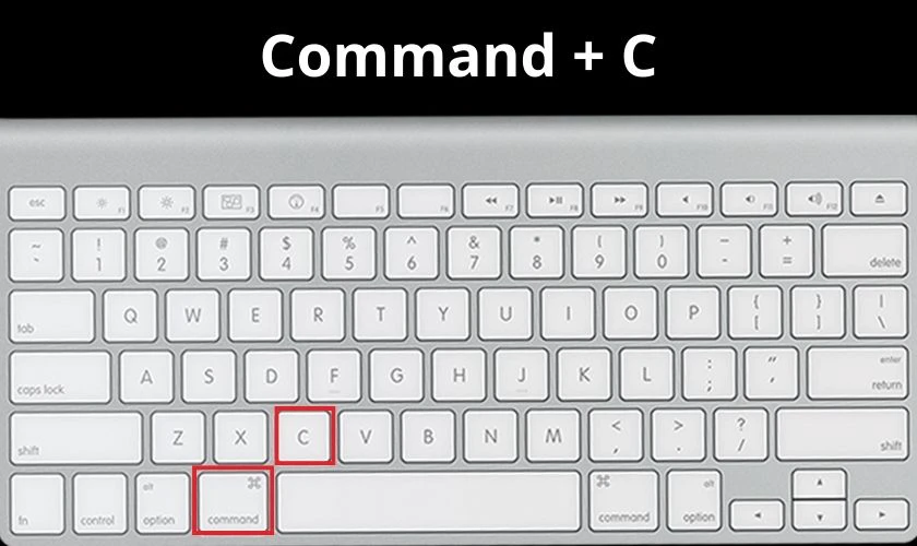 Nhấn tổ hợp phím Command + C để sao chép dữ liệu