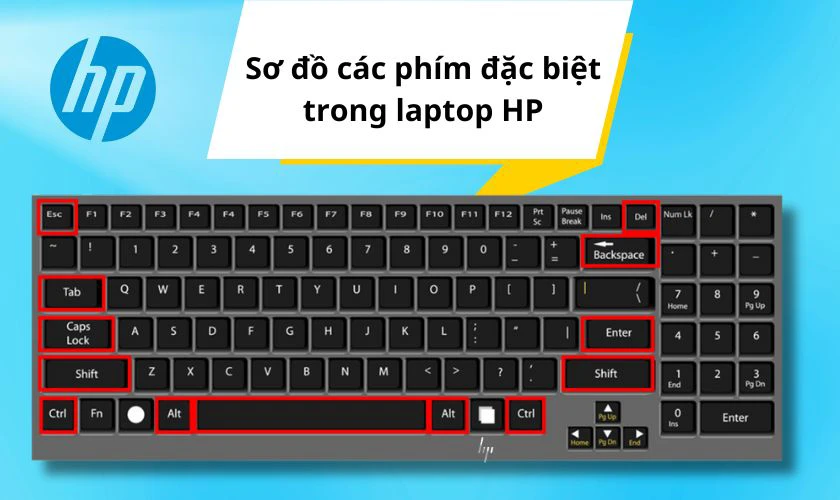 Cách sử dụng bàn phím laptop HP chi tiết