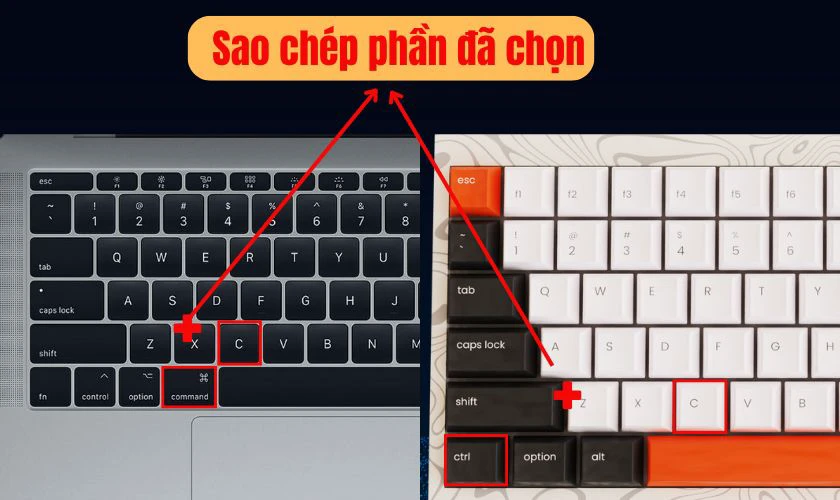 Trên bàn phím MacBook, Command và Option sẽ thay thế cho Ctrl và Alt