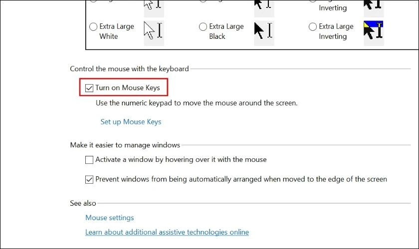 Tick vào ô Turn on Mouse Keys bằng phím Space