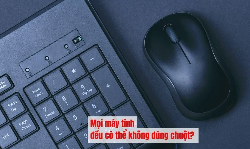 Có phải mọi máy tính đều có thể sử dụng mà không cần chuột không?