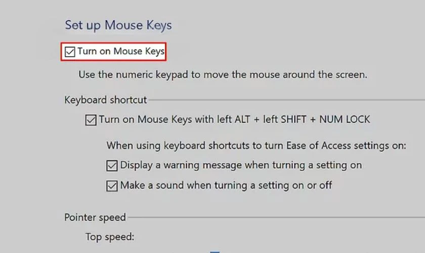 Sử dụng phím mũi tên đi xuống để chọn ô có dòng chữ Turn on Mouse Keys và ấn phím +