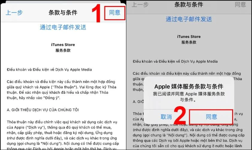 Chấp nhận điều khoản, đọc và nhấn Đồng ý với các điều khoản hiển thị
