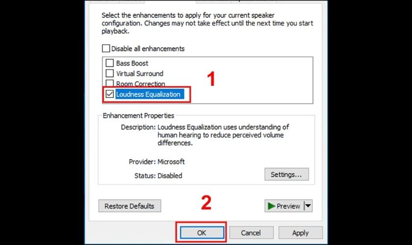 Tick chọn Loudness Equalization và nhấn OK