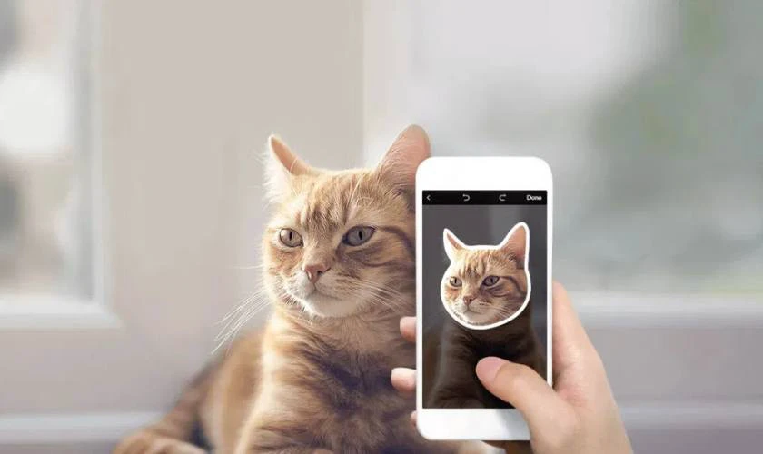 Lưu ý khi tạo sticker từ ảnh trên Xiaomi