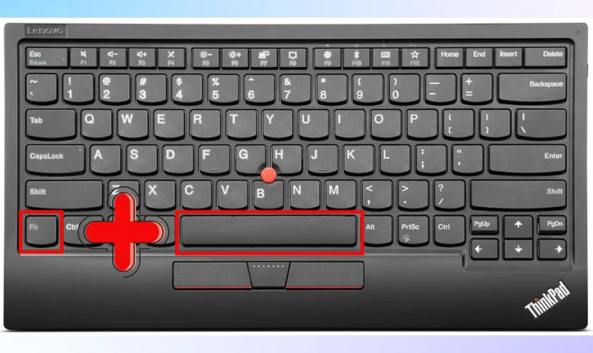 Tổ hợp Fn + Spacebar sẽ thay đổi độ sáng hoặc tắt hoàn toàn đèn nền