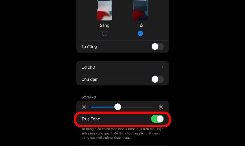 Gạt nút điều khiển sang phải để bật True Tone