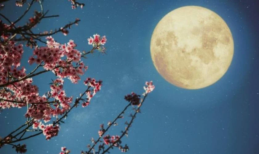 Xác định ngày Chủ Nhật ngay sau ngày trăng tròn