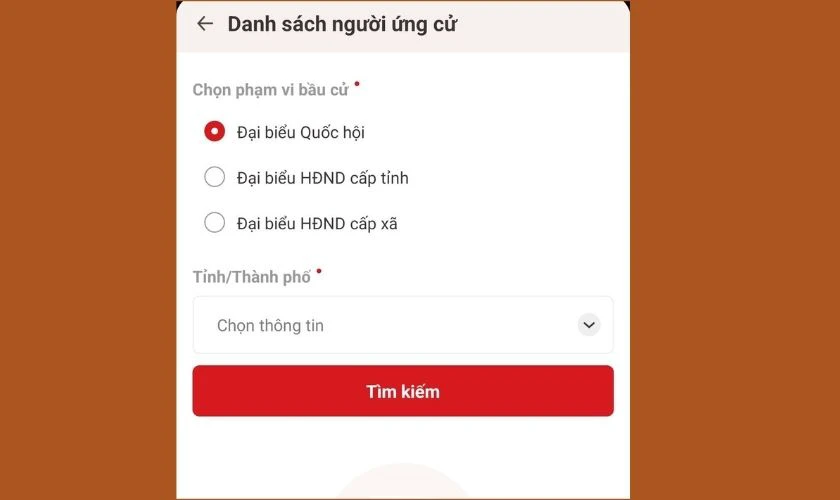 Cách tra cứu người ứng cử trên VNeID