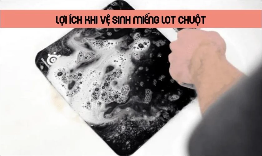 Cách vệ sinh miếng lót chuột có lợi ích gì?