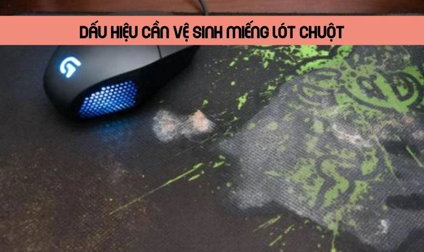 Dấu hiệu cần vệ sinh miếng lót chuột