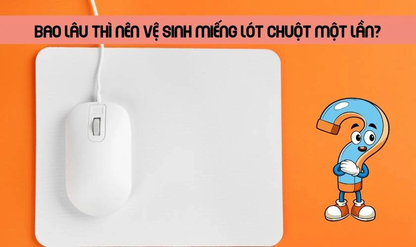 Bao lâu thì nên vệ sinh một lần?