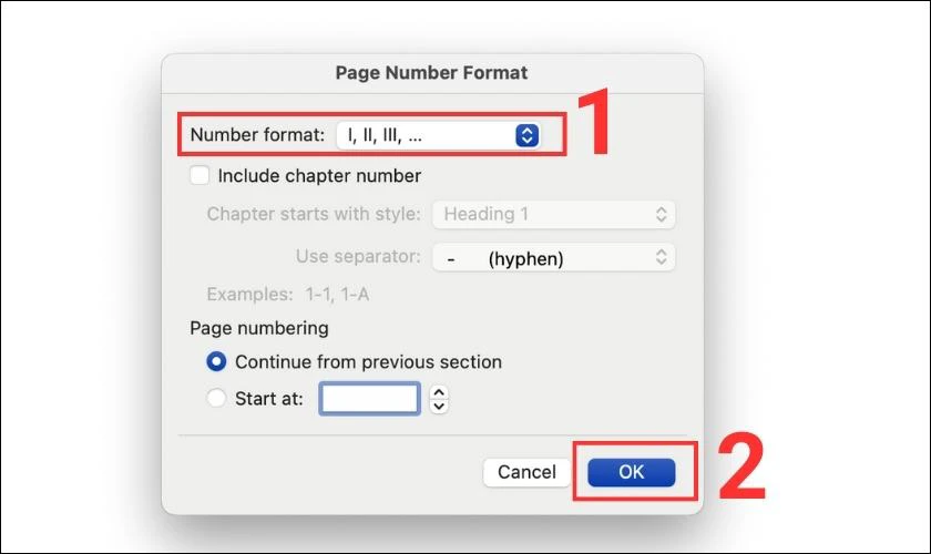 Hộp thoại Page Number Format 