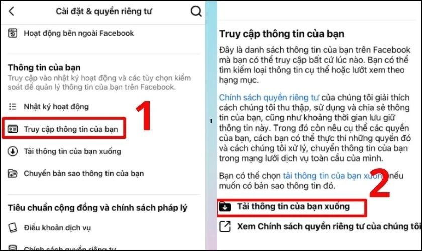 Kéo xuống để tìm mục Truy cập thông tin của bạn. Sau đó, nhấn vào Tải thông tin của bạn xuống