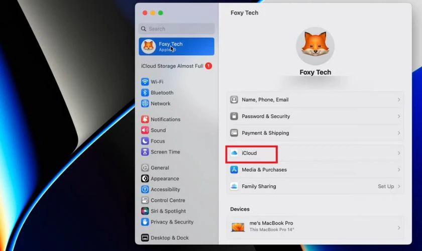 Chọn iCloud để xem các dịch vụ và ứng dụng đang sử dụng bộ nhớ đám mây của tài khoản