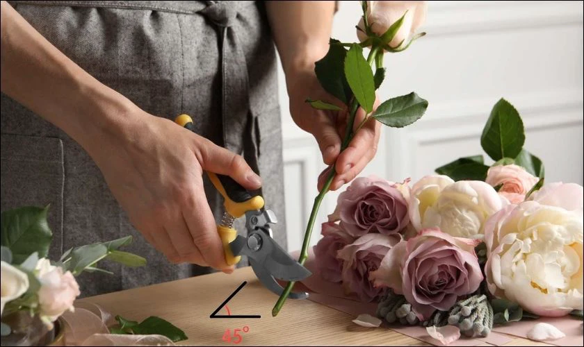 Cắt cành nghiêng góc 45 độ để hoa hút nước tươi lâu hơn