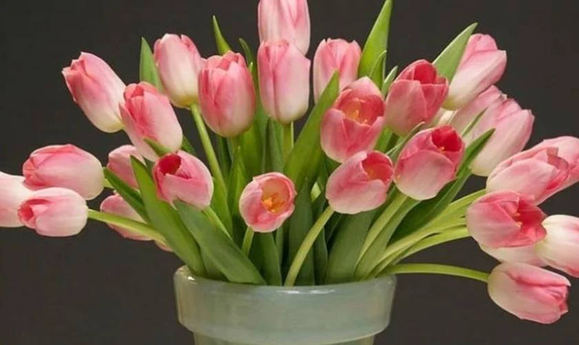 Mẫu hoa Nhà giáo Việt Nam đơn giản ý nghĩa nhất