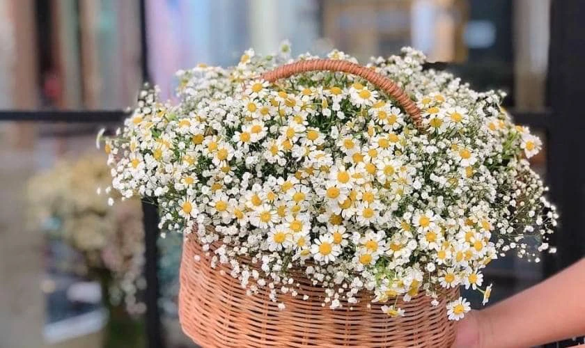 Cắm hoa 20/11 chủ đề Bụi phấn, độc đáo