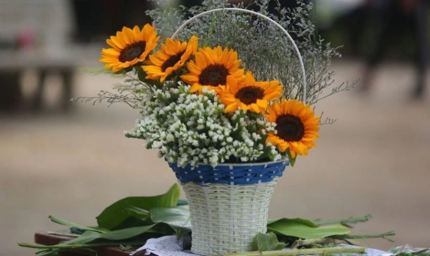 Ý tưởng cắm hoa đơn giản với hoa hướng dương