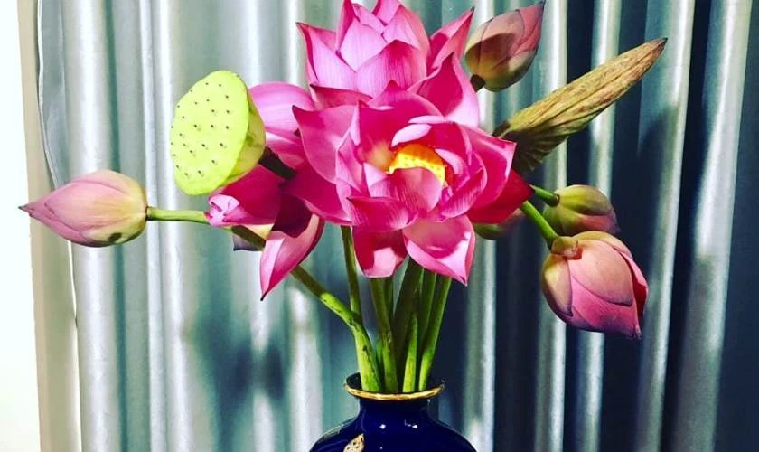 Cách Cắm Hoa Sen Để Bàn Thờ Tết Tôn Kính