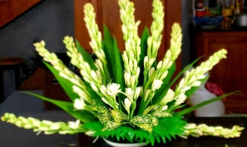 Cách Cắm Hoa Huệ Trắng Bàn Thờ Ngày Tết Thanh Tịnh