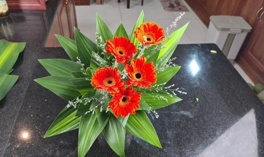 Cắm Hoa Đồng Tiền Đẹp Mắt