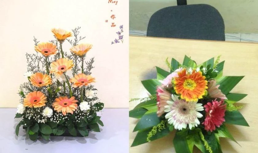 Cắm Hoa Đồng Tiền Phong Thủy