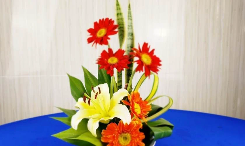 Cắm Hoa Đồng Tiền Mộc Mạc