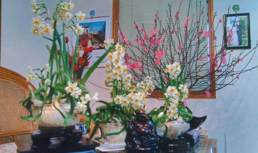Cách Cắm Hoa Thủy Tiên Bàn Thờ Ngày Tết Thanh Cao