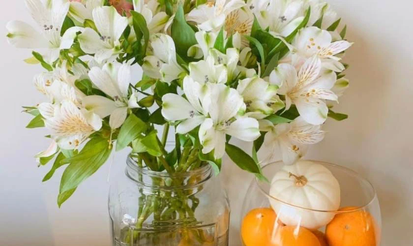 Cách Cắm Hoa Thủy Tiên Bàn Thờ Ngày Tết Đơn Giản