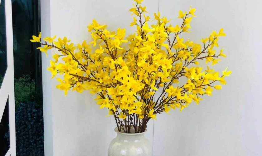 Cắm Hoa Mai Hài Hòa