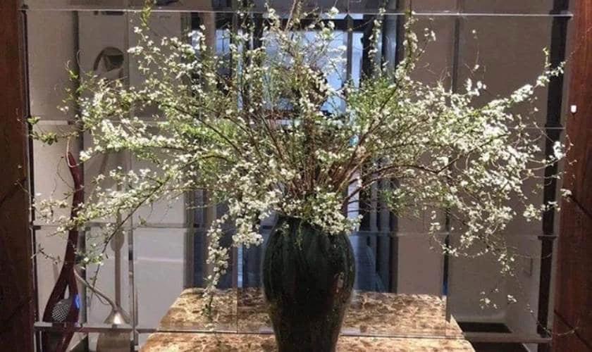 Cắm Hoa Mai Gọn Gàng, Đẹp Mắt