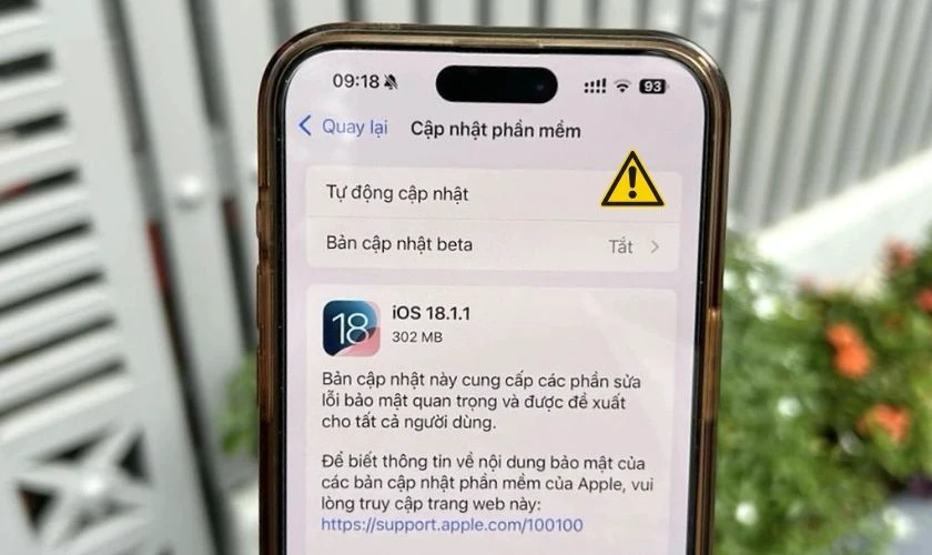 Lỗi phần mềm hoặc xung đột hệ thống